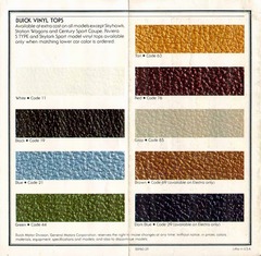 1980 Buick Exterior Colors Chart-05-06.jpg